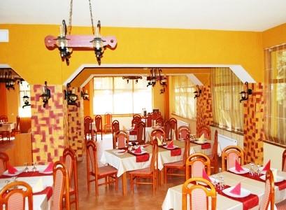 Pensiune 3* Trei Brazi  Baile Olanesti Romania