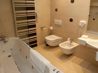 Hotel 3* Racova Vaslui Romania