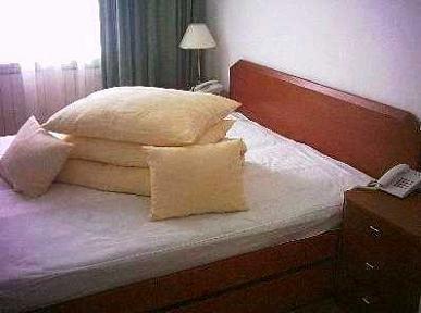 Vila 4* Liliacul Stana de Vale Romania