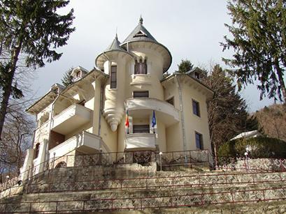 Vila 3* Rica Slanic Moldova Romania