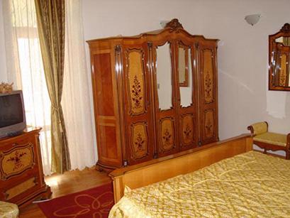 Vila 3* Rica Slanic Moldova Romania