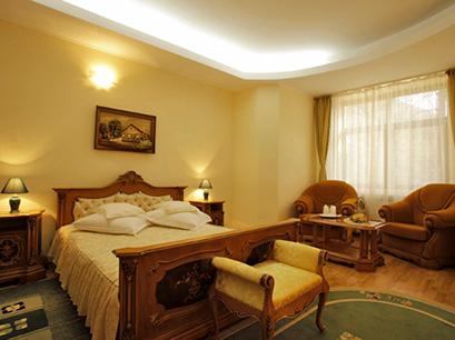 Vila 3* Rica Slanic Moldova Romania