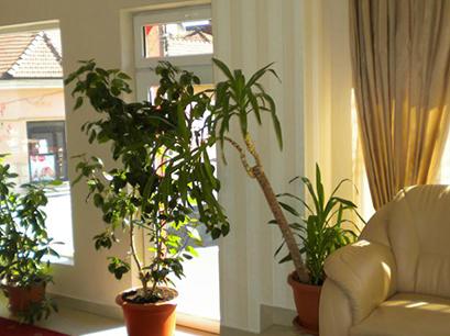 Hotel 4* Ary Cluj Napoca Romania