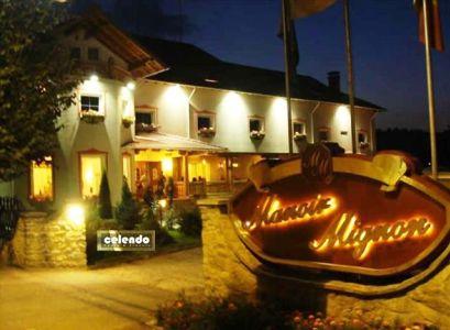 Pensiune 5* Manoir Mignon Campulung Moldovenesc Romania