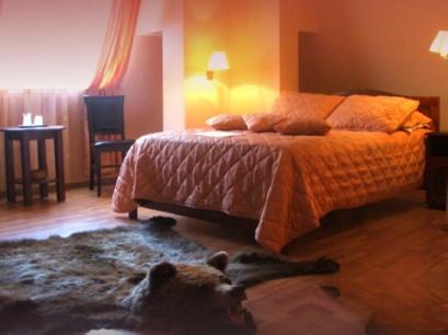 Pensiune 4* Casa Vanatorilor Baile Olanesti Romania