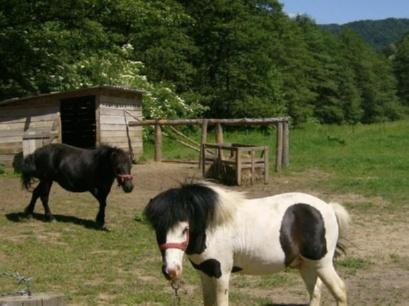 Pensiune 4* Casa Vanatorilor Baile Olanesti Romania
