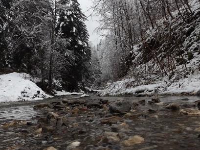 Hotel 2* All Times Timisul de Jos Romania