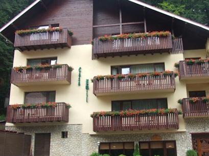 Vila 4* Casa Emil Poiana Brasov Romania