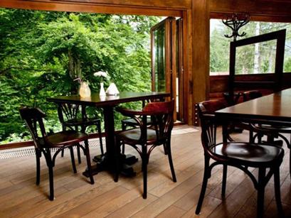 Vila 3* Piatra Soimului Sinaia Romania