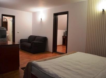 Pensiune 3* Sandru Campulung Moldovenesc Romania