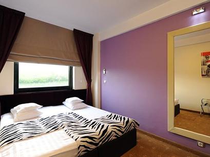 Hotel 3* Business, Conference & SPA  Targu Mures Romania