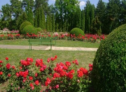 Hotel 3* Euphoria Craiova Romania