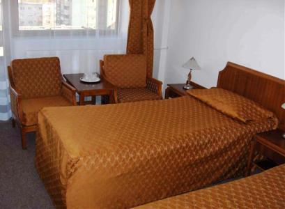 Hotel 3* Deva Deva Romania