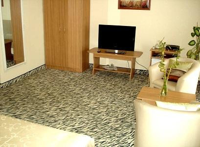 Hotel 3* Strelitia Timisoara Romania