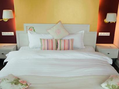 Hotel 5* Domeniul Seniorilor Giurgiu Romania