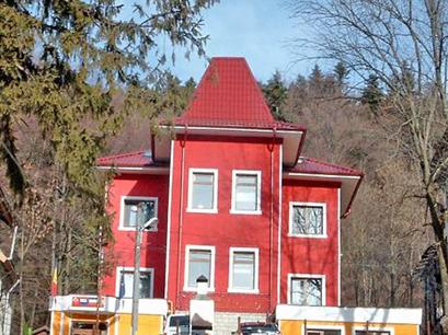 Vila 3* Ioana Slanic Moldova Romania