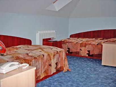 Vila 3* Ioana Slanic Moldova Romania