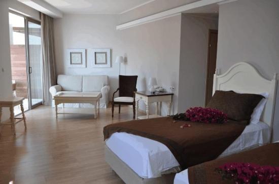 Hotel 4* San Nicolas Nidri Grecia