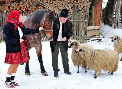 Pensiune 3* Maria Poienile Izei Romania