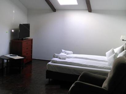 Vila 4* Casa Tisa Ramnicu Valcea Romania