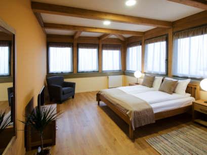 Pensiune 4* Harmonia Mundi Cluj Napoca Romania