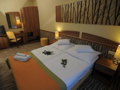 Hotel 3* Park Gyula Gyula Ungaria