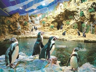 Hotel 5* Botanico&The Oriental SPA Garden Puerto de la Cruz Spania