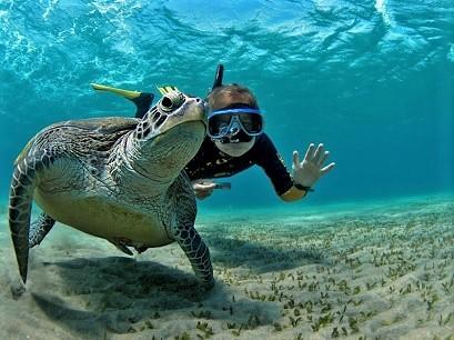 Hotel 4* Marine Club Resort Boa Vista Cap Verde