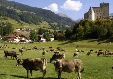 vacanta in Tirol