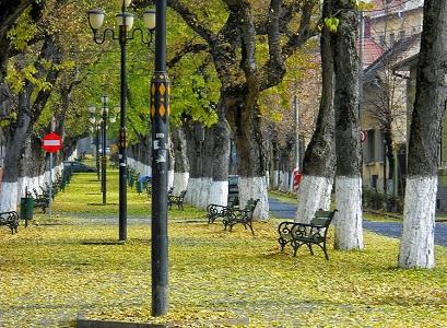 vacanta in Targu Mures