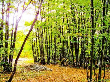 vacanta in Plitvice Lakes