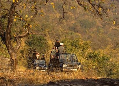 vacanta in Bandhavgarh