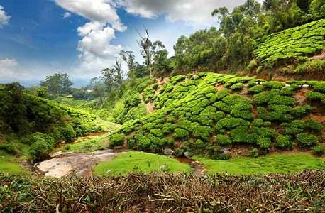 vacanta in Thekkady