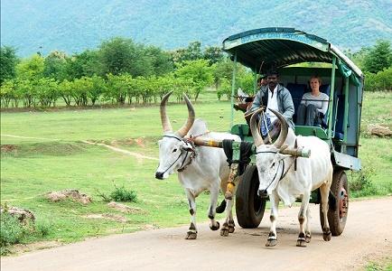 vacanta in Thekkady