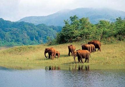 vacanta in Thekkady