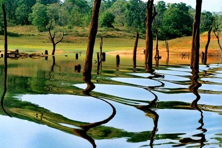 vacanta in Thekkady