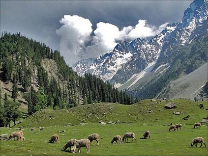 vacanta in Srinagar