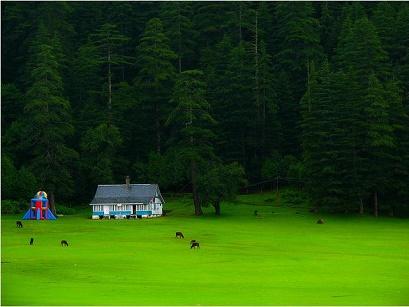 vacanta in Dalhousie