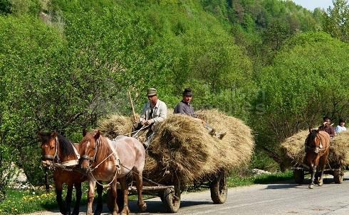 vacanta in Danesti