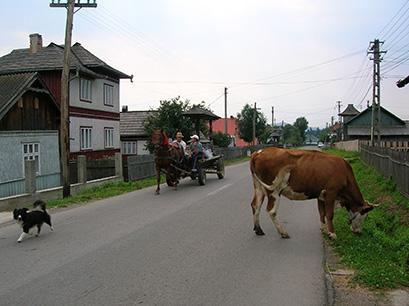 vacanta in Manastirea Humorului