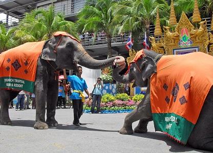 vacanta in Pattaya