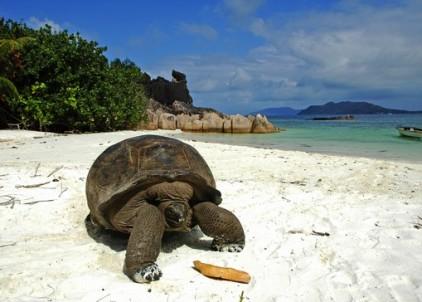 vacanta in Praslin Island