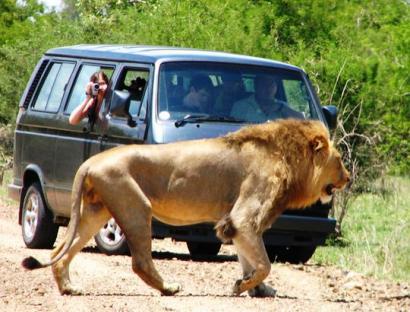 vacanta in Africa de Sud