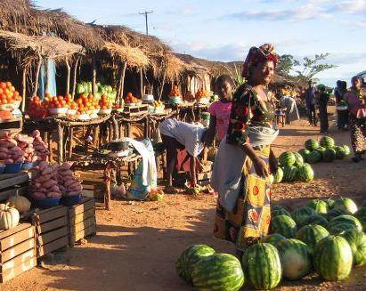 vacanta in Africa de Sud