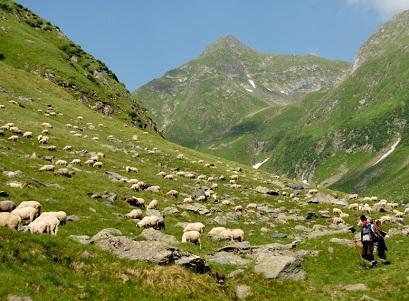 vacanta in Transfagarasan