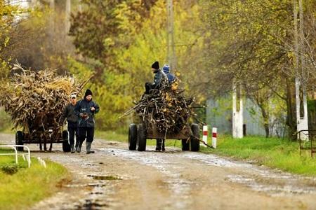 vacanta in Banat & Crisana