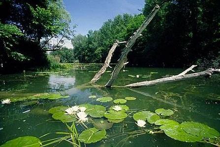 vacanta in Dobrogea